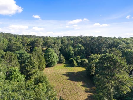 Coldspring, TX 77331 Polk County