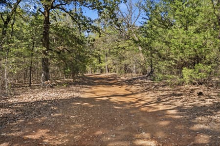 Hawkins, TX 75765 Wood County