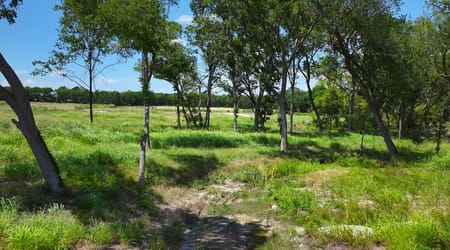 Van Alstyne, TX 75495 Grayson County