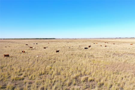 Hawley, TX 79525 Jones County