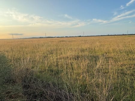 Angleton, TX 77515 Brazoria County