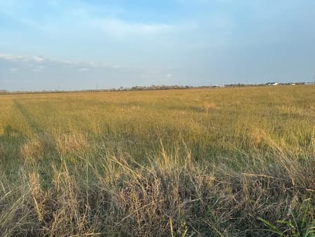 Angleton, TX 77515 Brazoria County