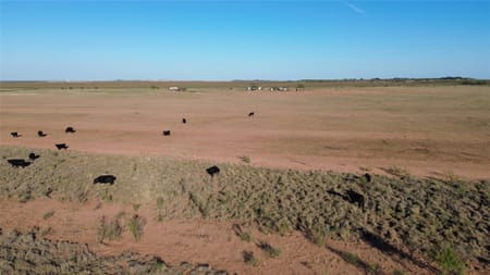 Merkel, TX 79536 Jones County