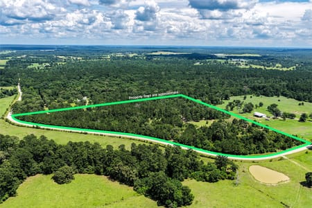 Huntsville, TX 77320 Walker County