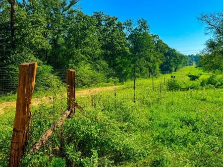 Centerville, TX 75833 Leon County