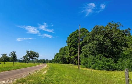 Buffalo, TX 75831 Leon County
