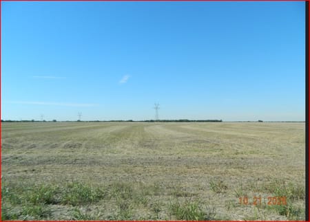 Ennis, TX 75119 Ellis County