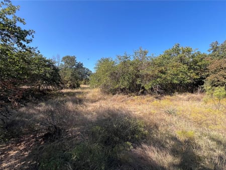 Springtown, TX 76082 Wise County