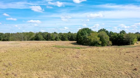 Midway, TX 75852 Madison County