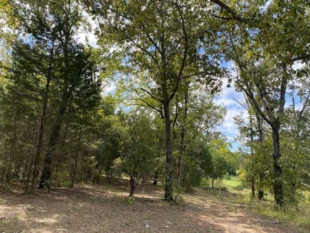 Eustace, TX 75124 Henderson County