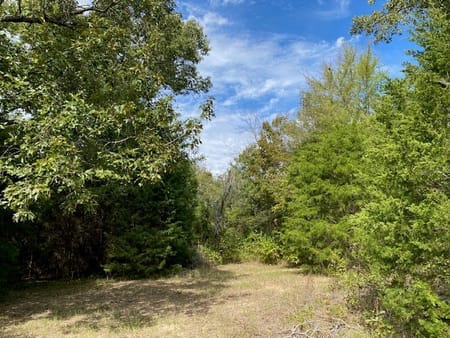 Eustace, TX 75124 Henderson County