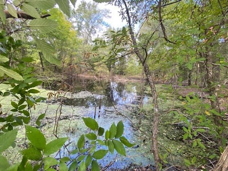 Eustace, TX 75124 Henderson County