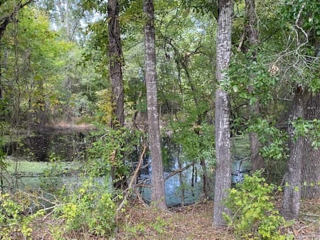 Eustace, TX 75124 Henderson County
