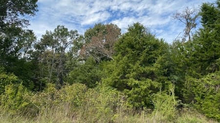 Eustace, TX 75124 Henderson County