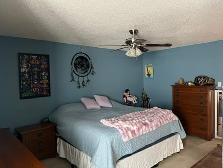 Plano, TX 75074 Collin County