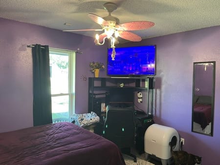 Plano, TX 75074 Collin County