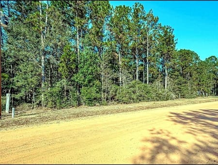 Cleveland, TX 77328 San Jacinto County