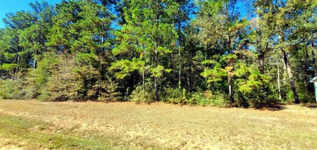 Cleveland, TX 77328 San Jacinto County