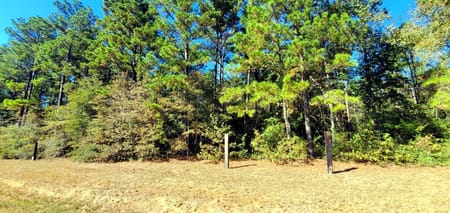 Cleveland, TX 77328 San Jacinto County