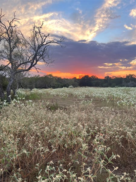 Hallettsville, TX 77964 Lavaca County