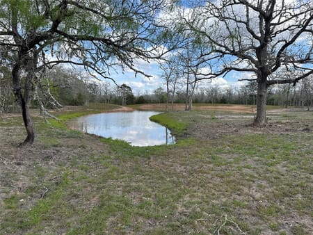 Hallettsville, TX 77964 Lavaca County