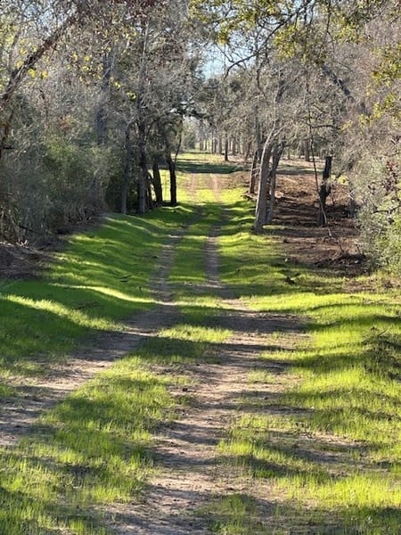 Hallettsville, TX 77964 Lavaca County