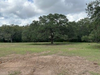Hallettsville, TX 77964 Lavaca County