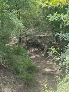 Hallettsville, TX 77964 Lavaca County