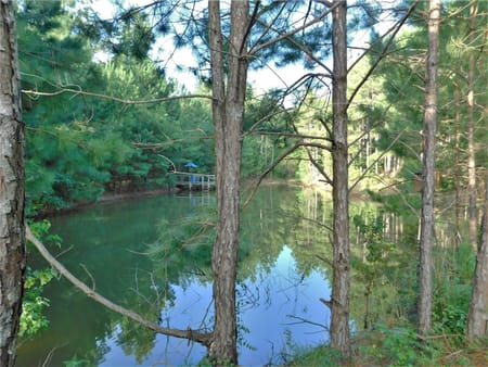Conroe, TX 77303 Montgomery County