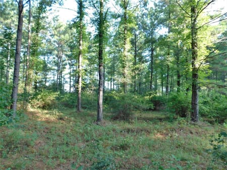 Conroe, TX 77303 Montgomery County