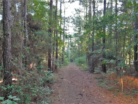Conroe, TX 77303 Montgomery County