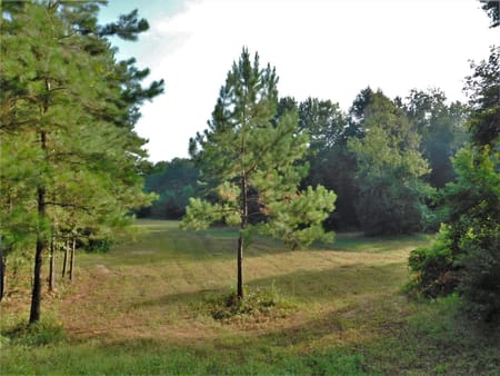 Conroe, TX 77303 Montgomery County