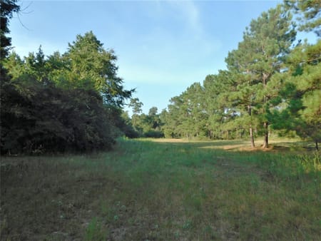 Conroe, TX 77303 Montgomery County