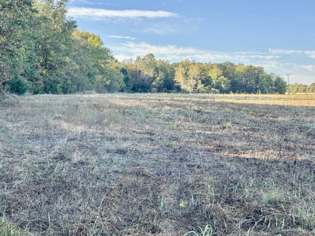 Mt Pleasant, TX 75455 Titus County