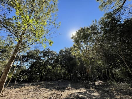 Winnie, TX 77665 Chambers County