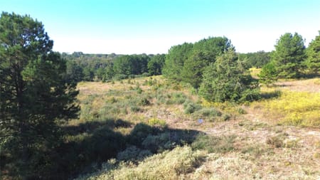 Grapeland, TX 75844 Houston County