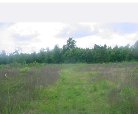 Shepherd, TX 77371 San Jacinto County
