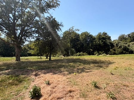 Navasota, TX 77868 Grimes County