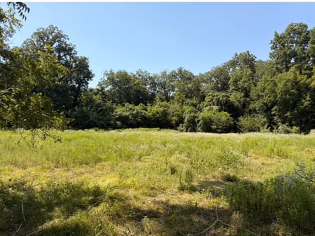 Navasota, TX 77868 Grimes County
