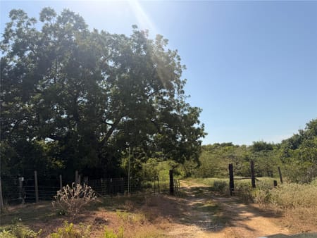 Navasota, TX 77868 Grimes County