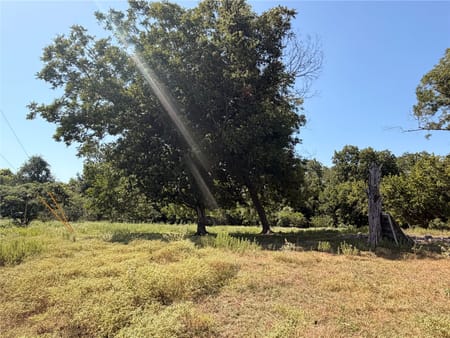 Navasota, TX 77868 Grimes County
