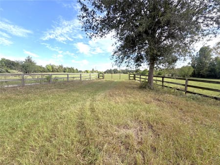 Crockett, TX 75835 Houston County