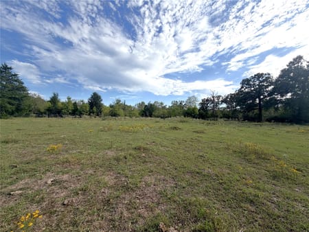 Crockett, TX 75835 Houston County