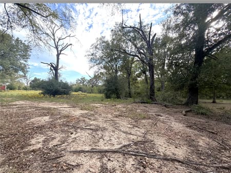 Crockett, TX 75835 Houston County