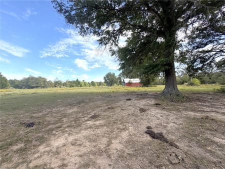 Crockett, TX 75835 Houston County