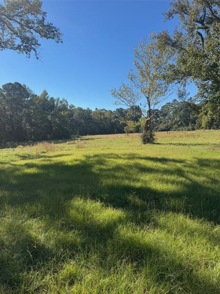 Corrigan, TX 75939 Polk County