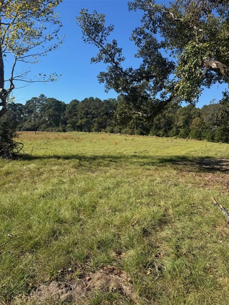 Corrigan, TX 75939 Polk County