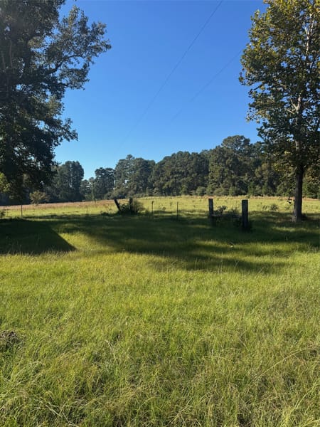 Corrigan, TX 75939 Polk County