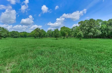 Montgomery, TX 77316 Montgomery County