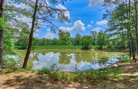 Montgomery, TX 77316 Montgomery County